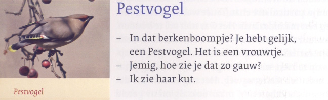 pestvogelaar